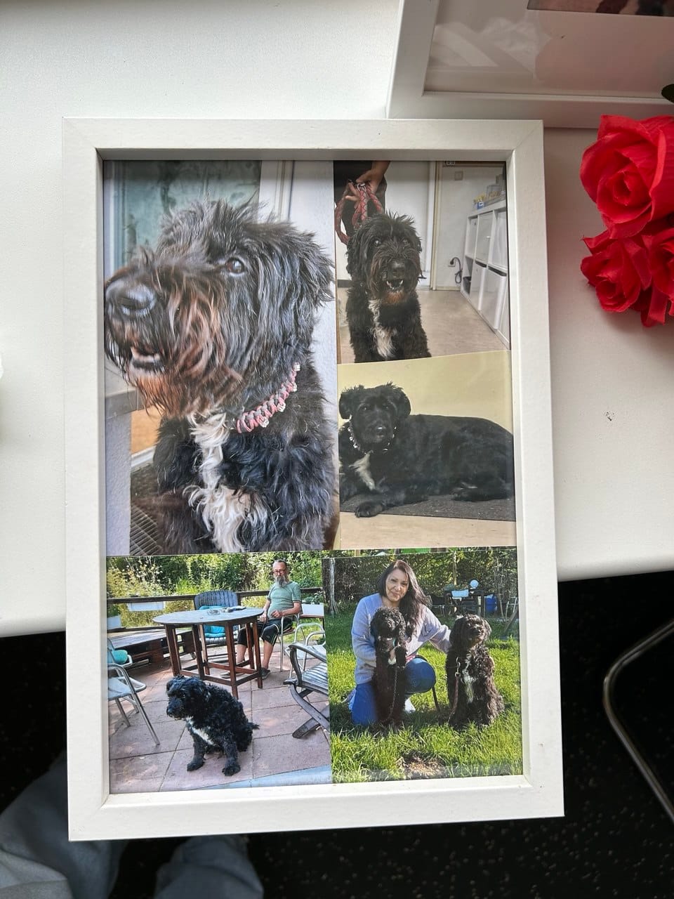 Als es darauf ankam, waren wir da.